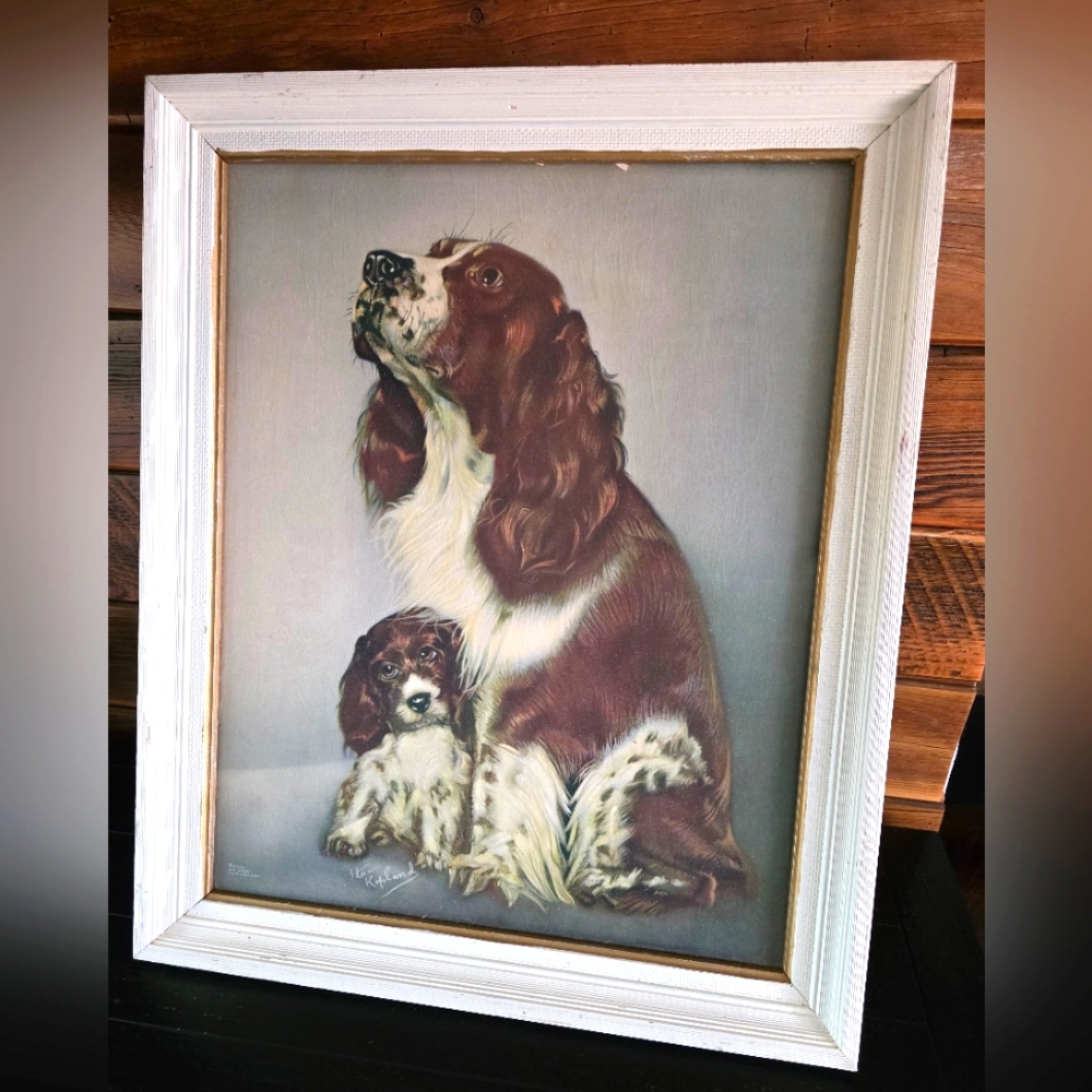 Vintage, Cocker Spaniel, Lithograph, Dog, Puppy